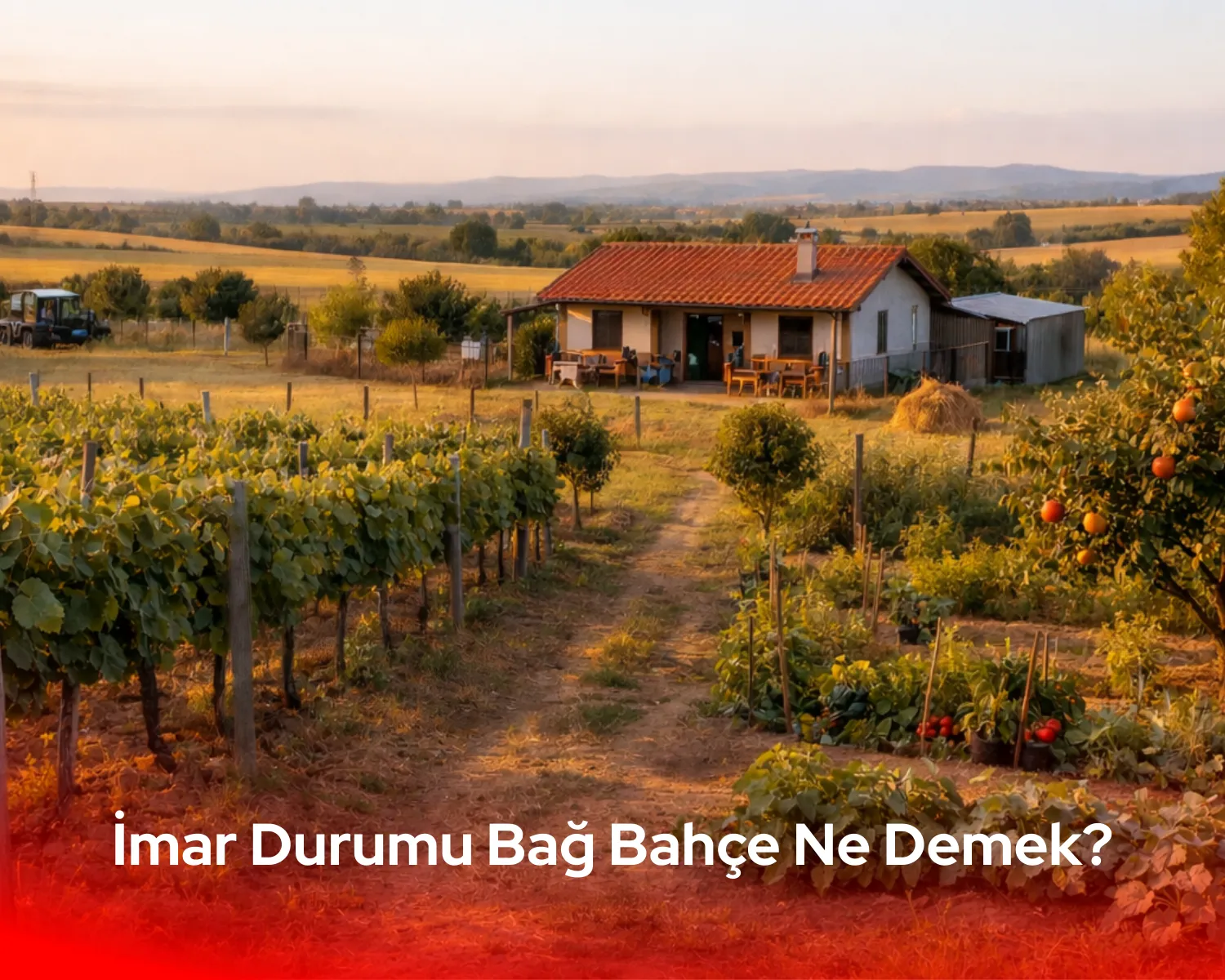 İmar durumu bağ bahçe ne demek sorusunun teknik yanıtını içeren, yasal çekme mesafeleri ve yol cephesi gösterilmiş örnek bağ evi yerleşim planı; arazinize uygun proje için Mopre'den hemen teklif alın.